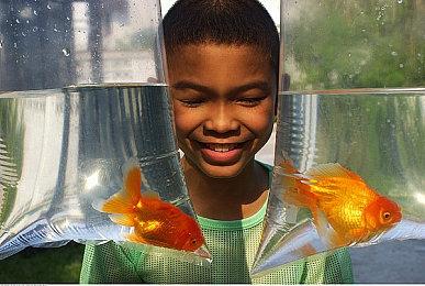 《Deadly Days: Roadtrip》Steam页面 发行日期待定