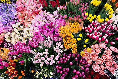 育碧《刺客信条：HEXE》爆料汇总 女主拥有超能力