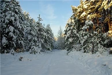 NBA2KOL2版本更新 21新秀来袭